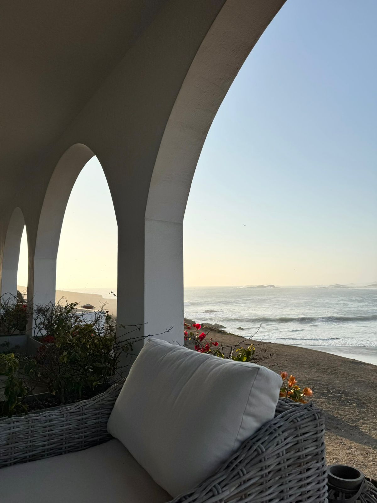 Terraza Sede Playa